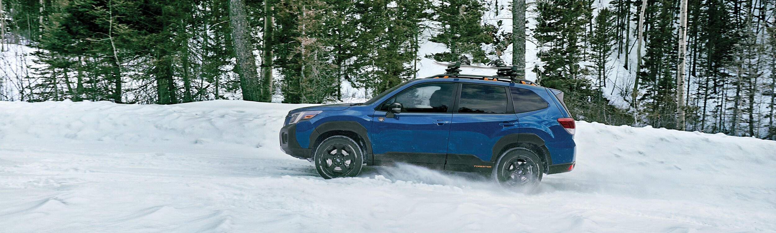 2025 Subaru Forester for sale in Hoover - Birmingham