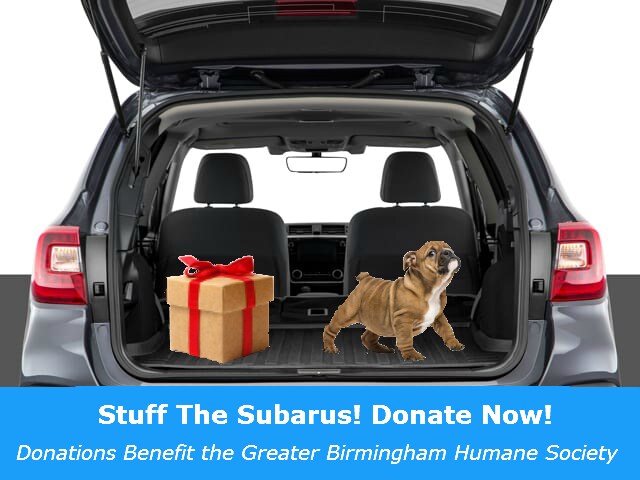 Humane Society_Subaru_Pop Up.png