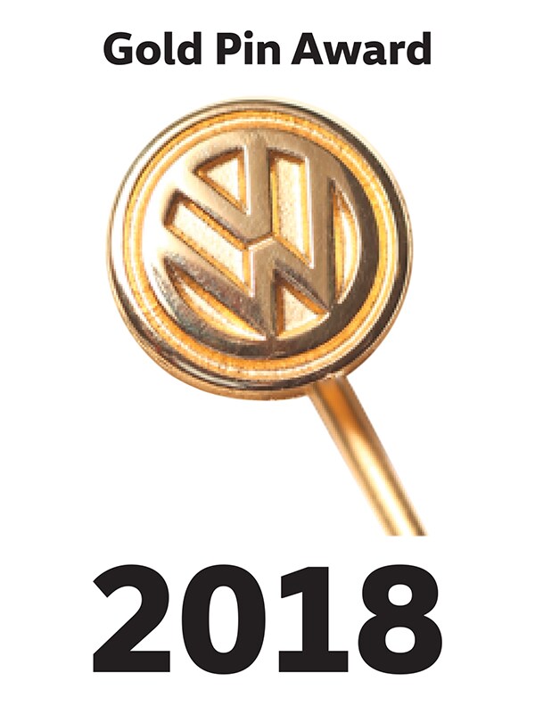 2018 Golden Pin Award