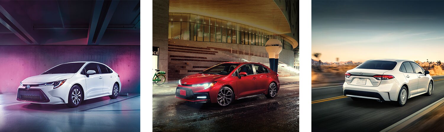corolla-intro-family.jpg