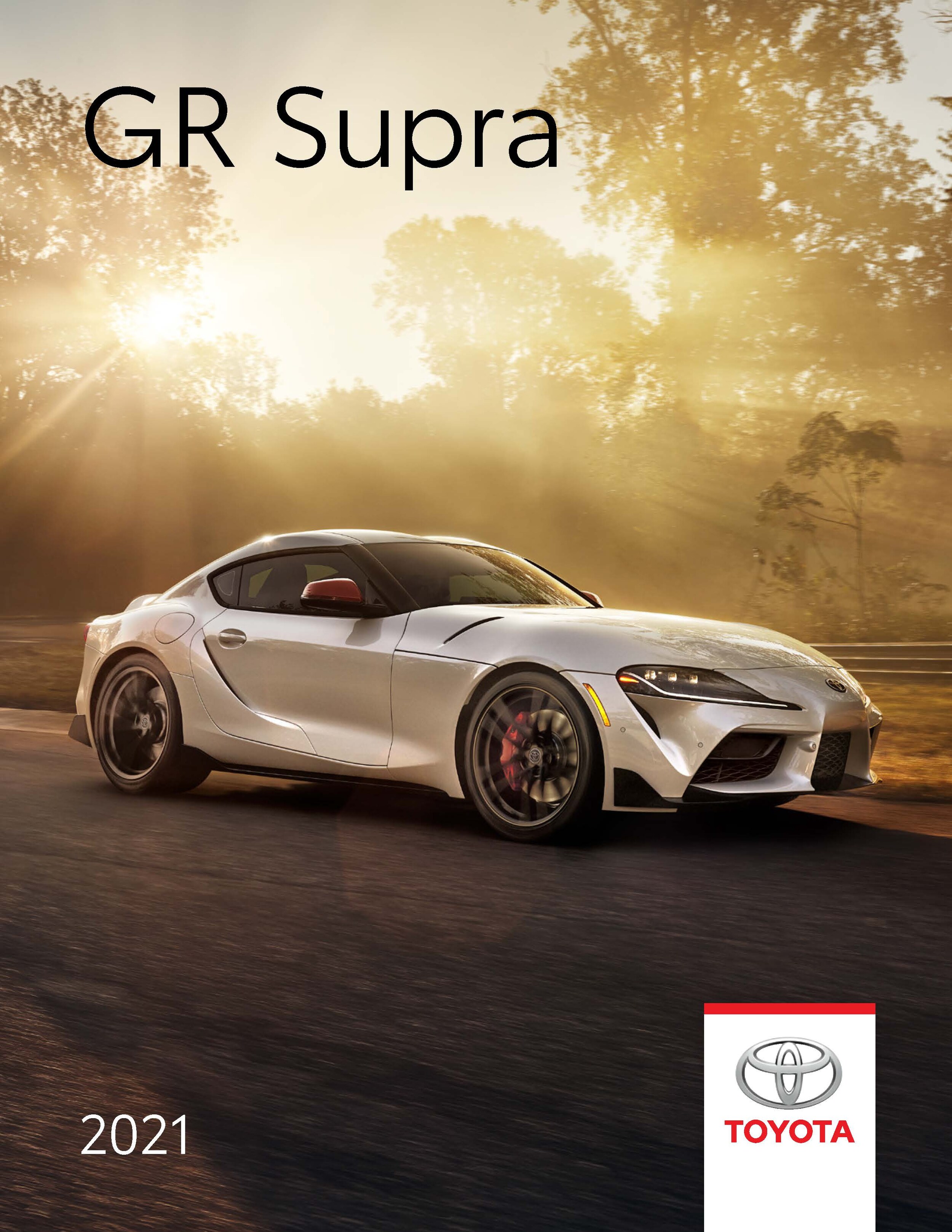 21-supra-brochure-en_Page_01.jpg
