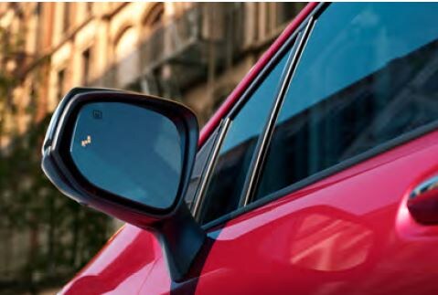rear view.JPG