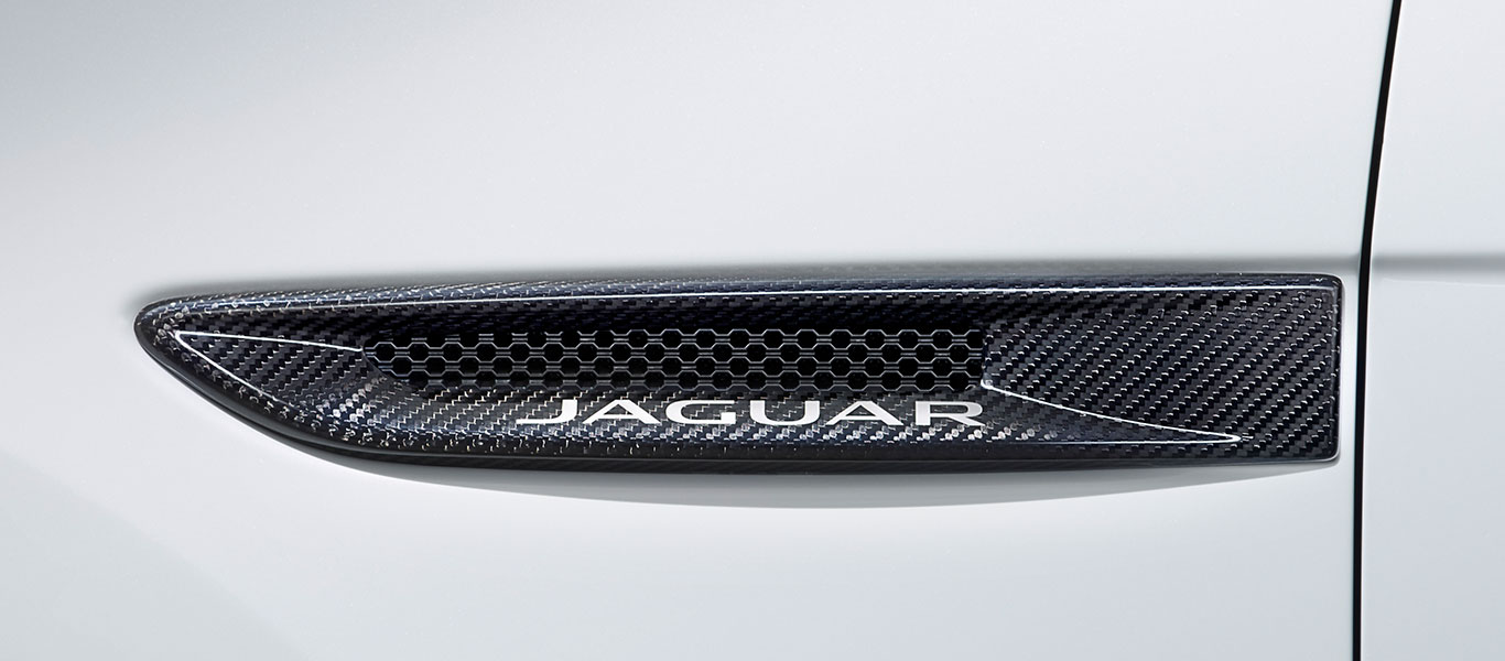 Jaguar F-PACE Carbon Fiber Accessories in Buckhead, GA