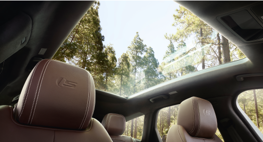Sunroof.png