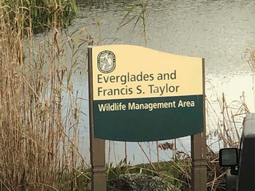Everglades