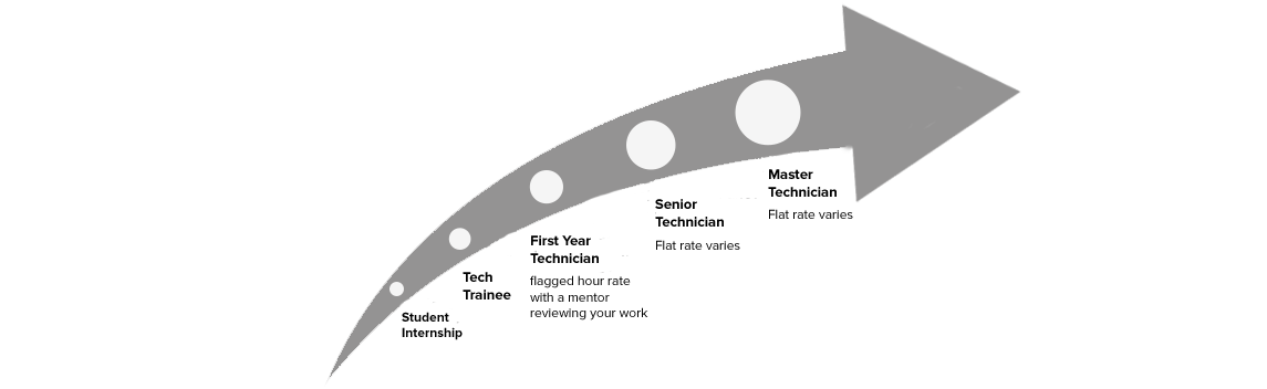 Training Timeline