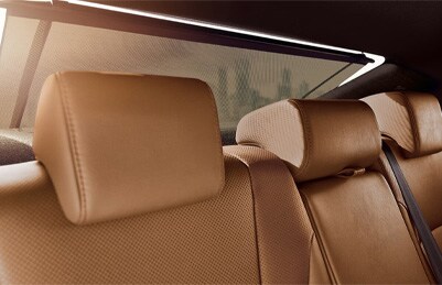 Interior-back.PNG