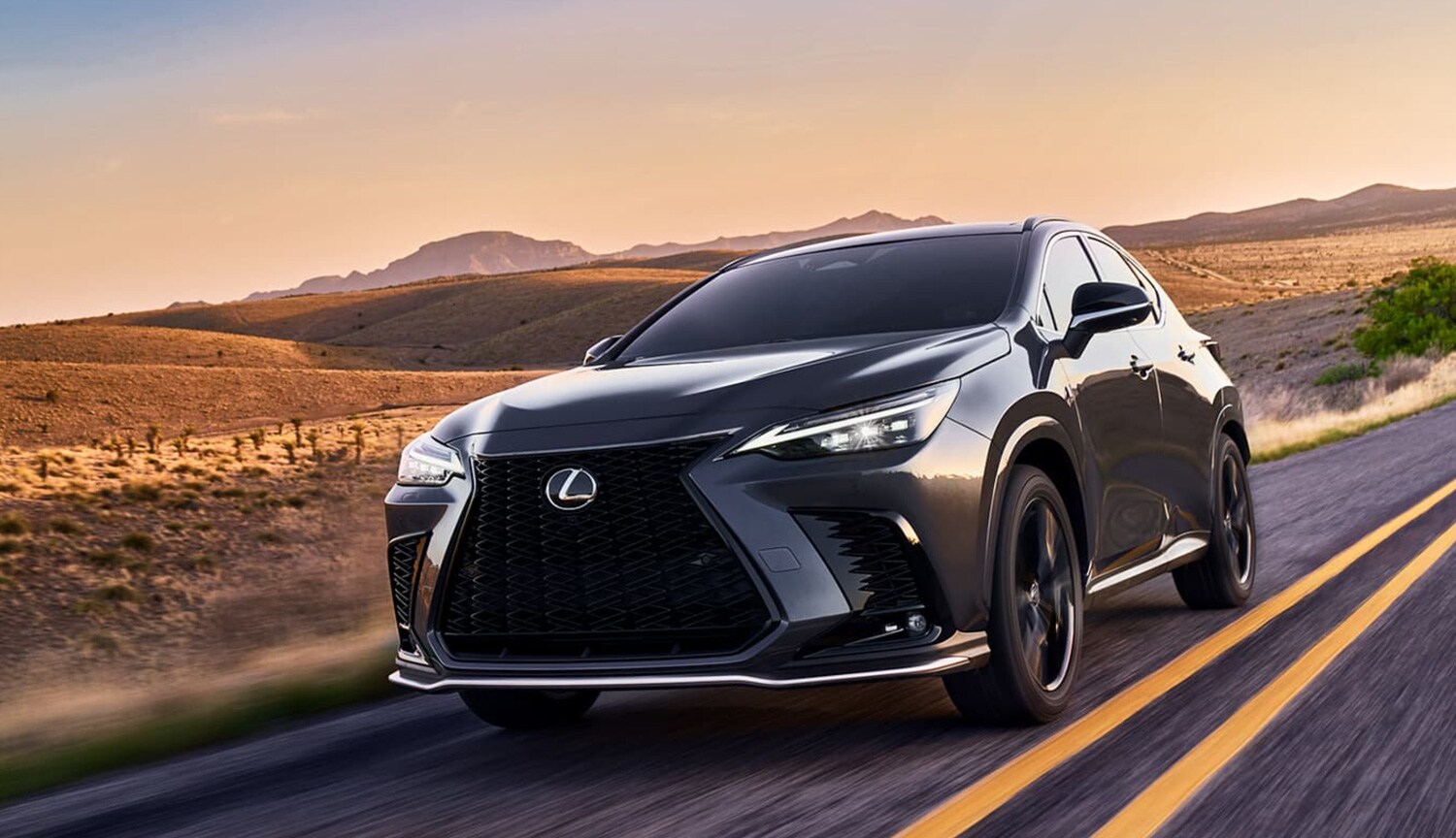 2022nx2.jpg