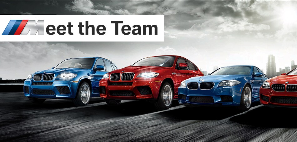Meet the Team Banner.jpg