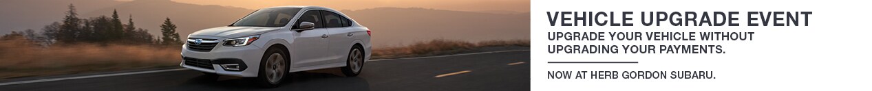 19-04263-MOL-SL_Subaru_September_Theme_950x100_IB.jpg