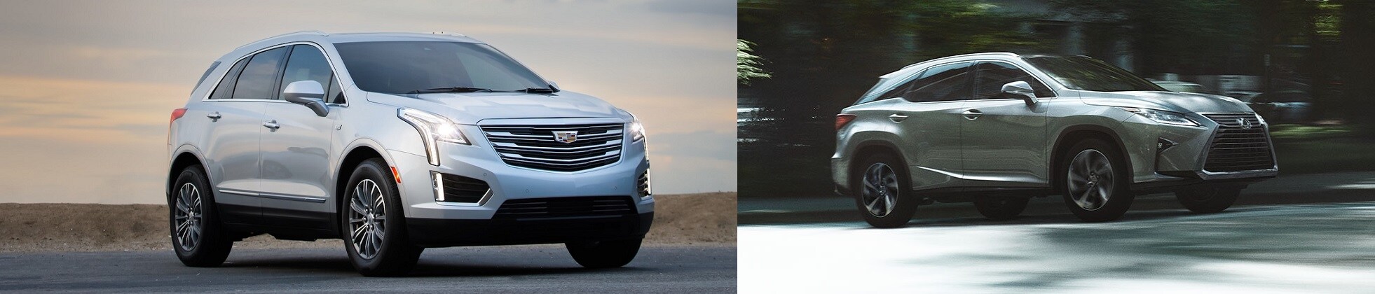 2019 Cadillac XT5 vs 2019 Lexus RX 350 near Clarendon Hills, IL