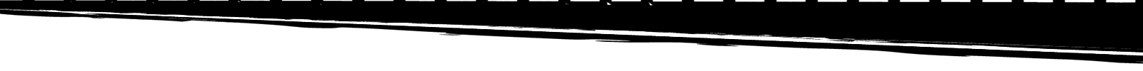 313cf22012ec431ab63b4ca3ecbfc0ba_1600x100.png