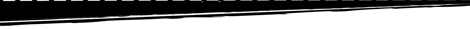 c46c1008945d4d5a94a0bd2eb279156c_1600x100.png