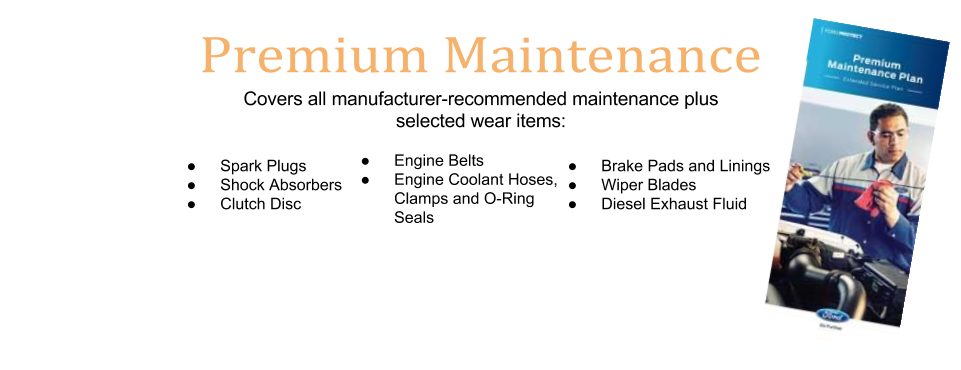 Premium Maintenance.png
