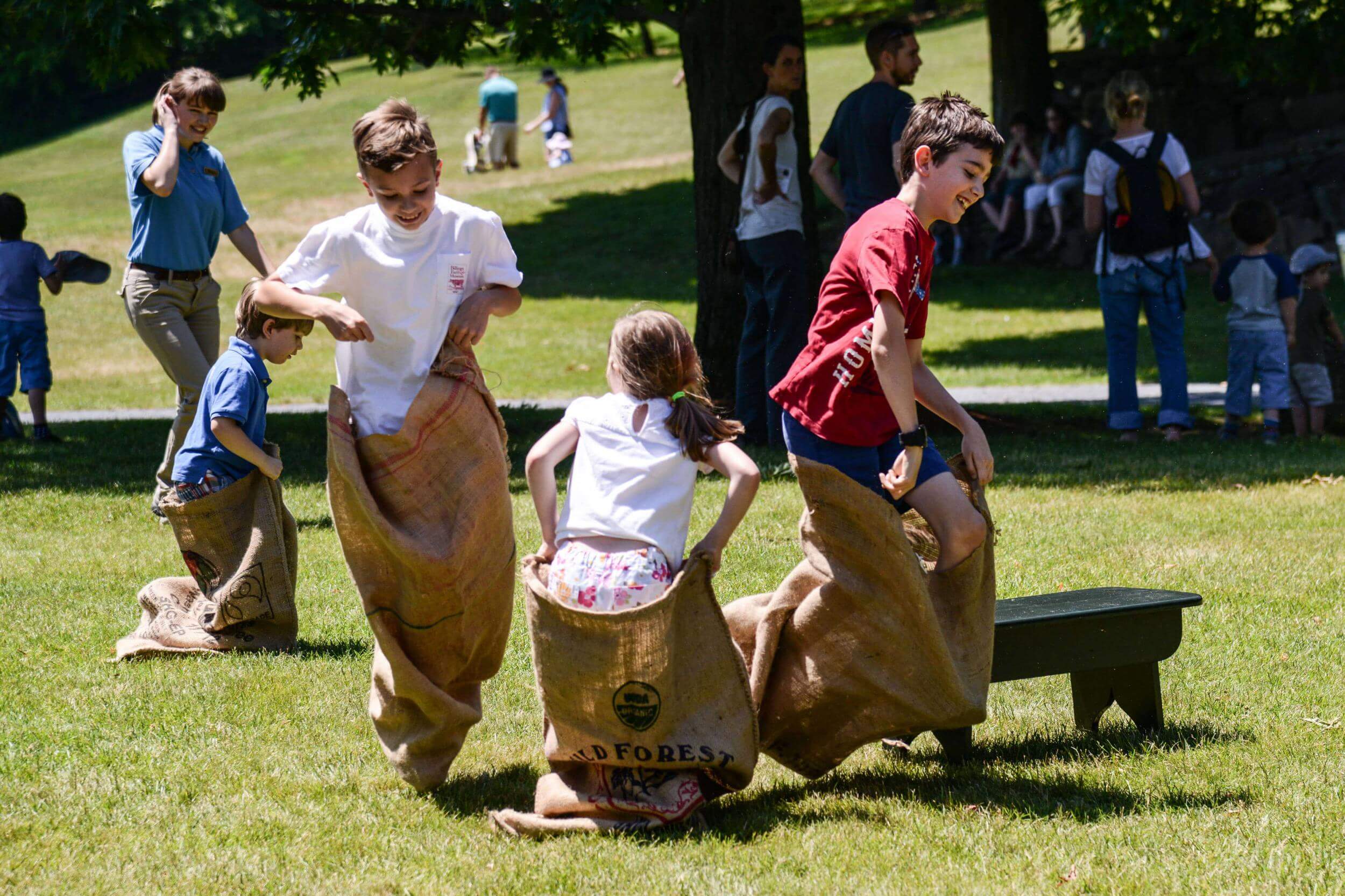 Woodstock-4th.jpg