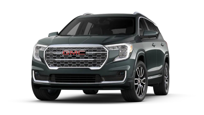 Terrain Denali.png