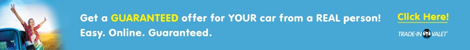 New-VLP-banner-01.png