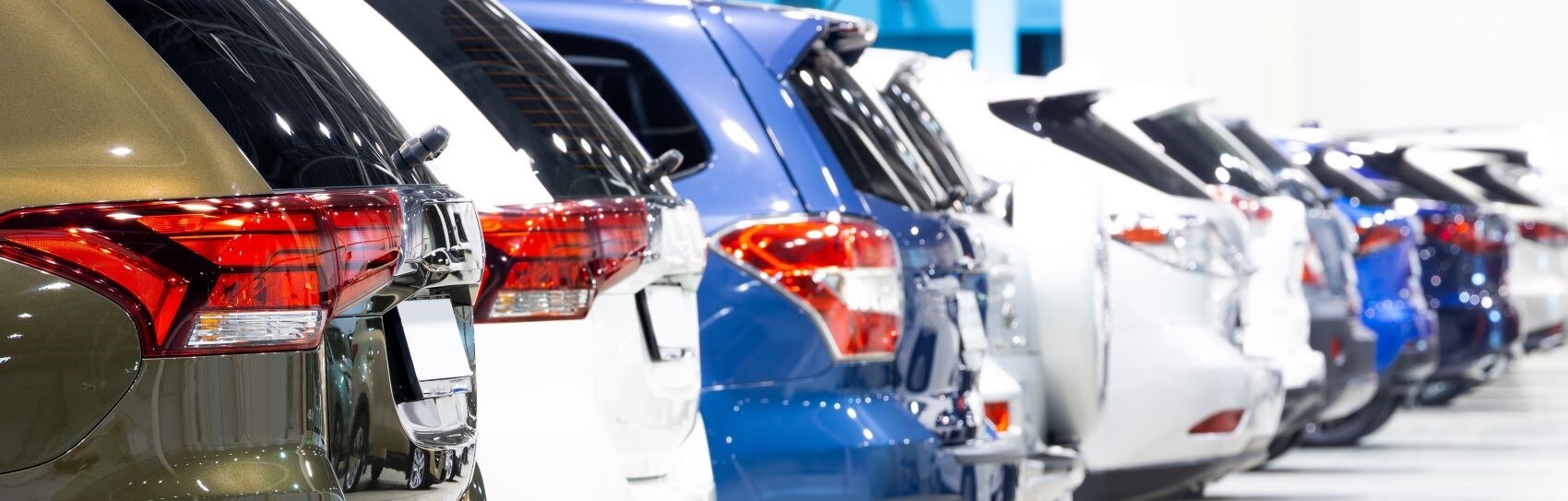 SUV banner (2).JPG