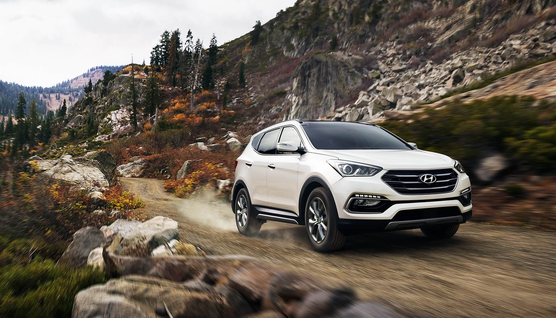 2017 Hyundai Santa Fe Sport 1.jpg