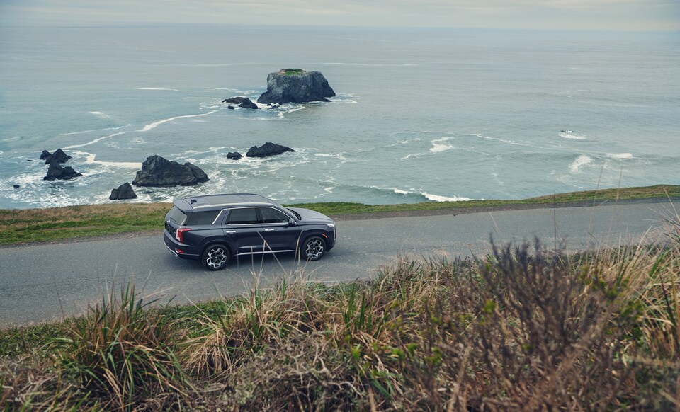 2021 Hyundai Palisade Caligraphy