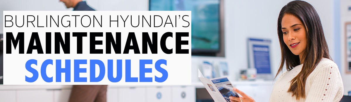 Schedule Maintenance Schedule Maintenance