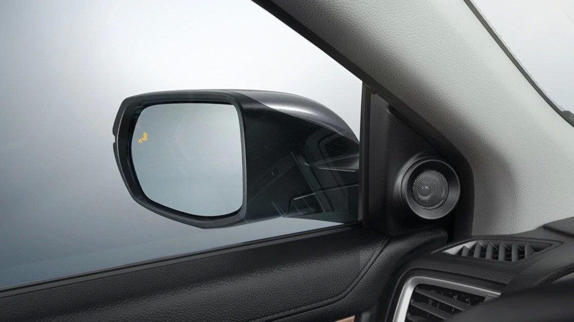 Blind Spot Information System Blind Spot Information System