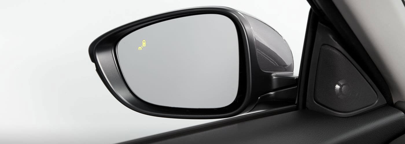 Blind Spot Information Blind Spot Information