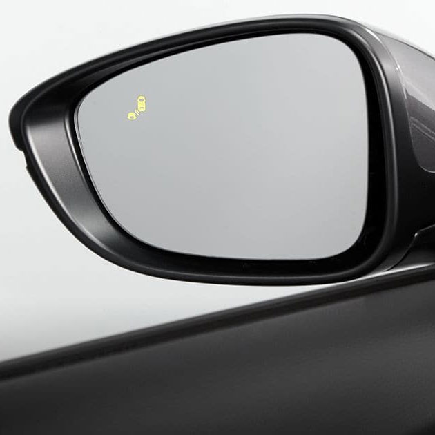 Blind Spot Information Blind Spot Information