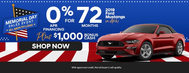 mustang.jpg