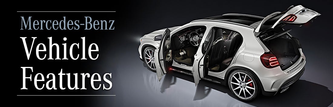 Vehicle Feature Mercedes-Benz