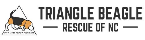 Triangle Beagle Rescue of NC