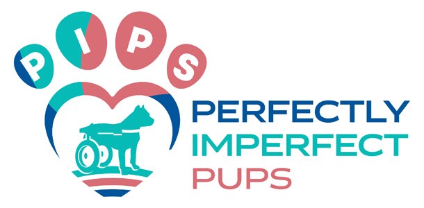 The Ronald McDonald House Charities of the Triangle