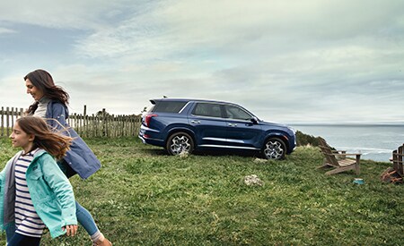2021 Hyundai Palisade Memphis, TN