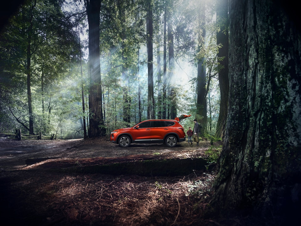 2019 Hyundai Santa Fe Collierville, TN