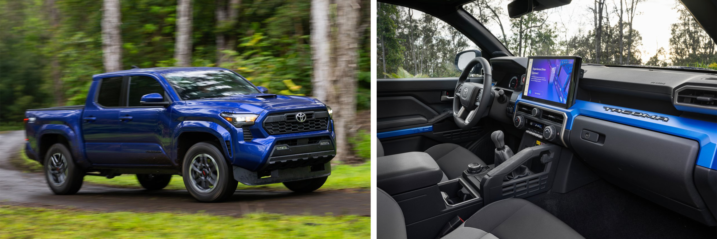 Taco%20blue.png Blue 2025 Toyota Tacoma