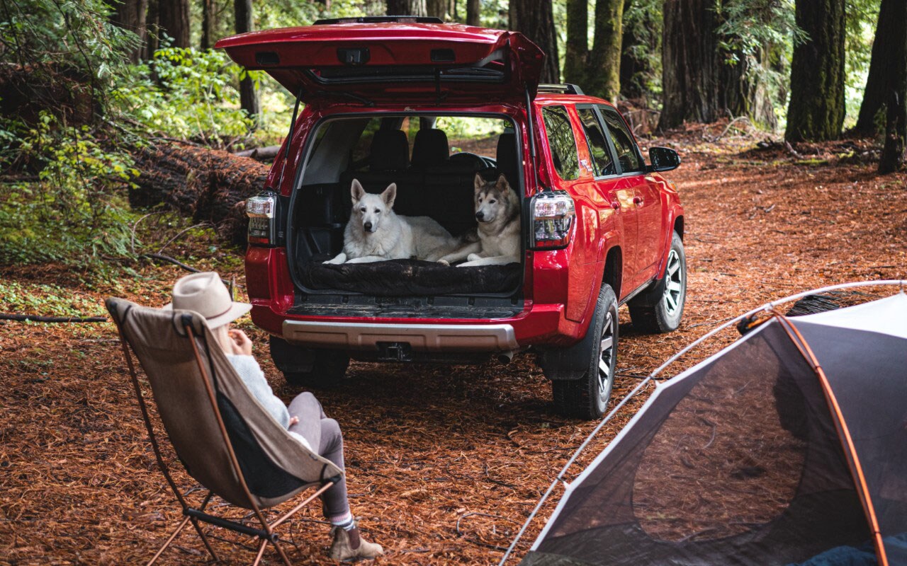 2022 Toyota 4Runner Rear Open Hatch.jpg