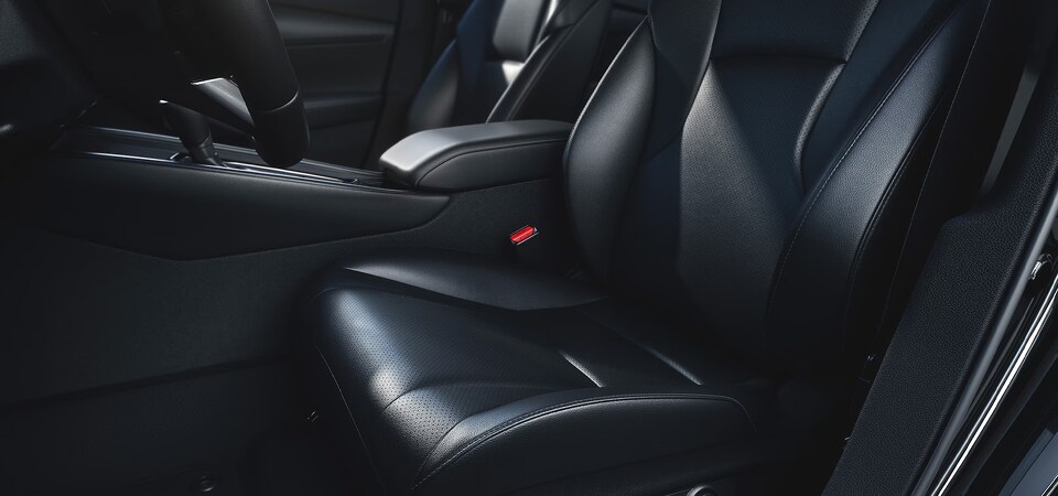 ACCORD_INTERIOR_V3.jpg