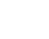 Pass The Torch Logo