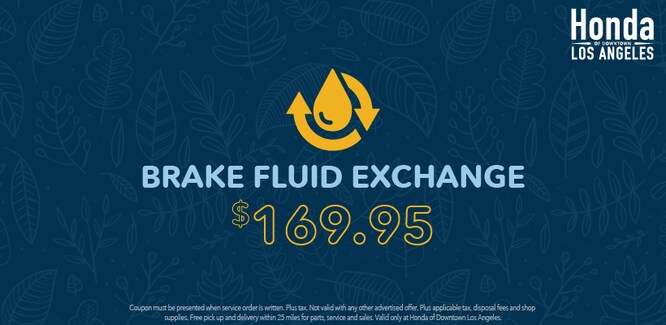 brake-fluid-exchange