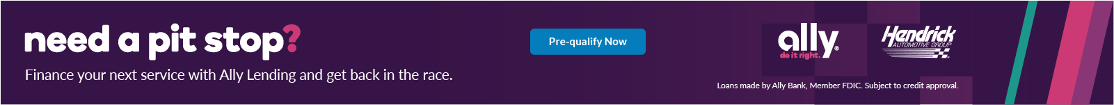 Ally Banner.png
