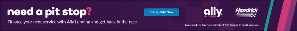 ally banner (002).png