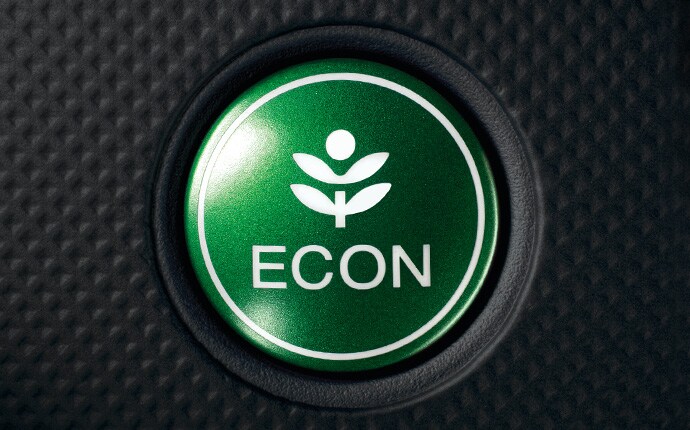 ecologo.jpg