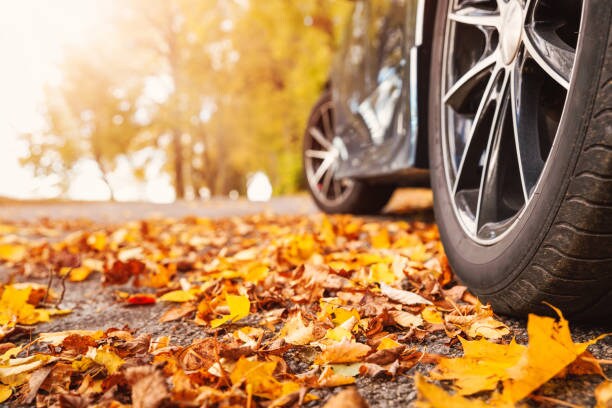 fall.jpg