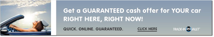 New VLP- banner-01.png