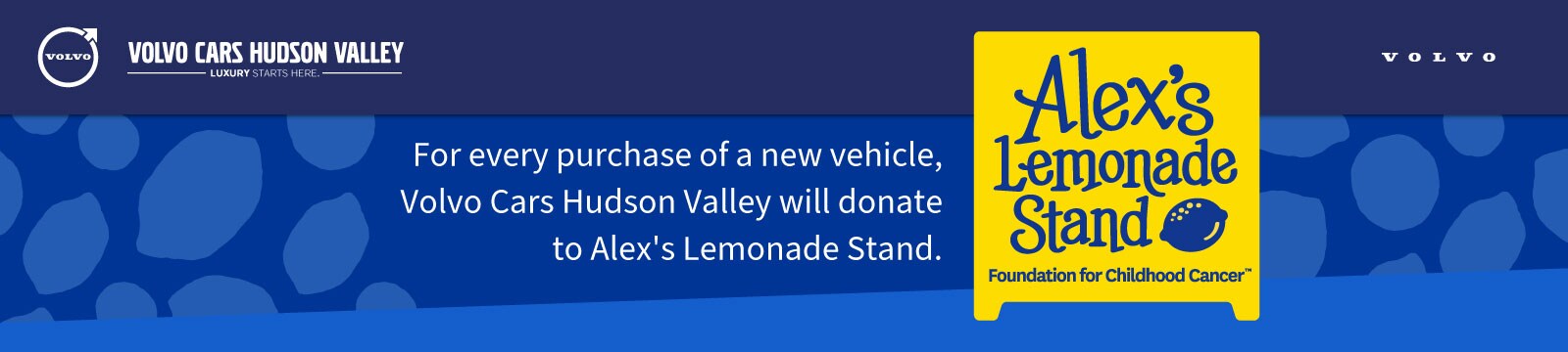 VCHV-413-Alex's-Lemonade-Stand-Header.jpg