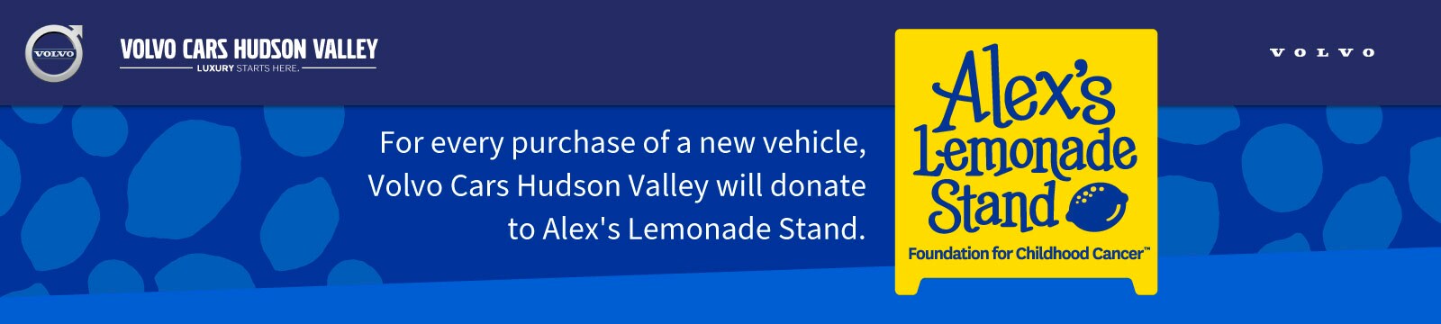 VCHV-413-Alex's-Lemonade-Stand-Header.jpg