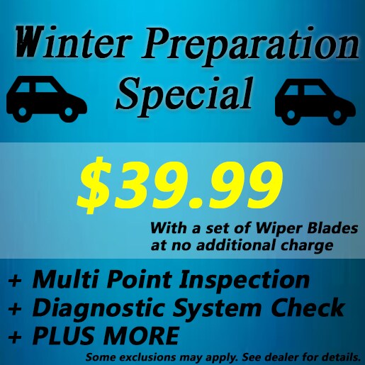 Winter Preparation parts and service custom Special 39.99.png