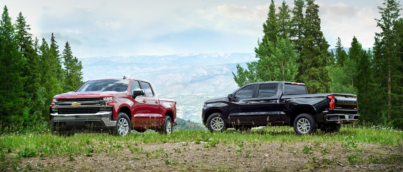 2 2021 Chevy Silverado 1500's exterior in forest