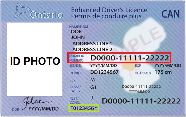 Ontario Drivers License Trillium Number