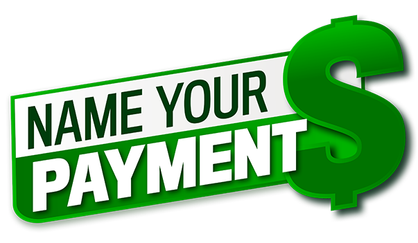 Name Your Payment Logo Name Your Payment Logo